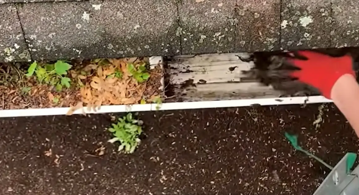 Gutter clearing work carried out in Skellow Doncaster