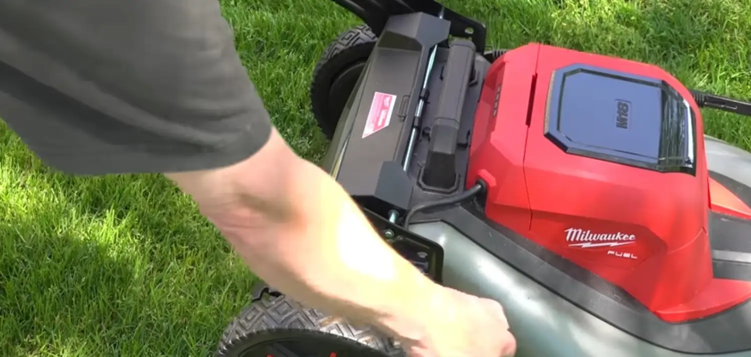 Regular and one off gardening services 